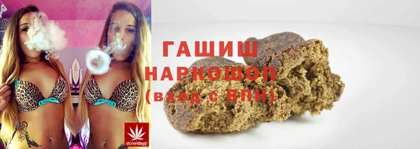 гидра Гусев