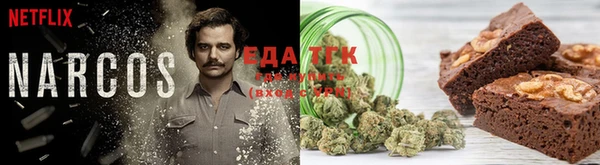 гидра Гусев
