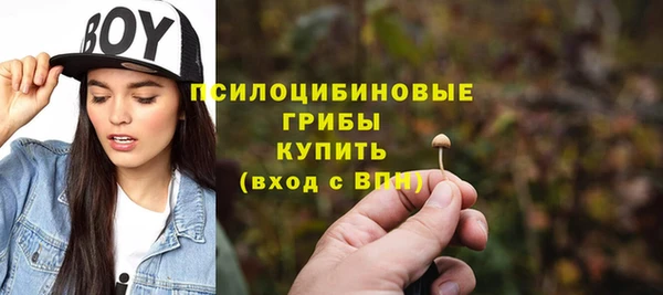 индика Гусиноозёрск