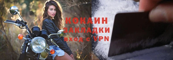 хмурый Гусь-Хрустальный
