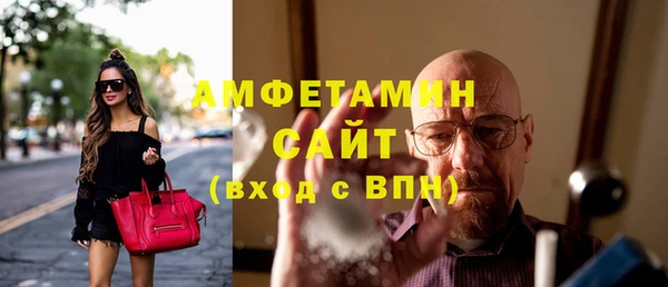 индика Гусиноозёрск