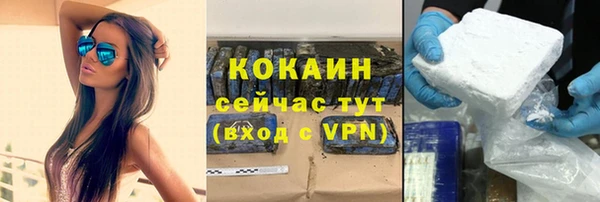 индика Гусиноозёрск