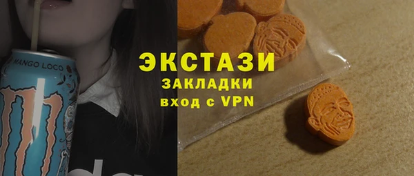 гидра Гусев