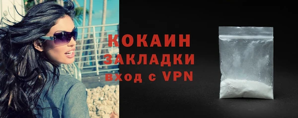 индика Гусиноозёрск