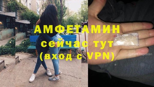 хмурый Гусь-Хрустальный