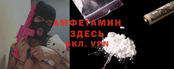 индика Гусиноозёрск