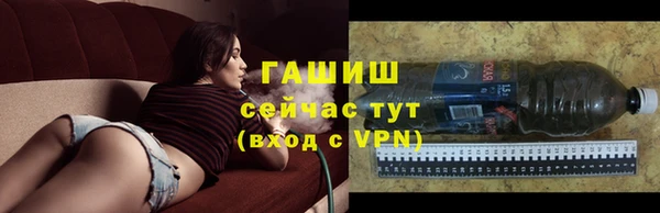 хмурый Гусь-Хрустальный
