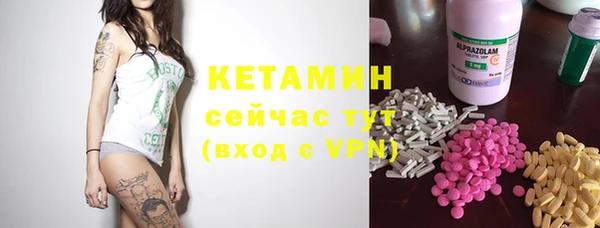 гидра Гусев
