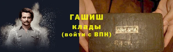 индика Гусиноозёрск