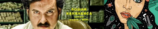 индика Гусиноозёрск