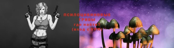 гидра Гусев