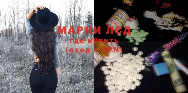 гидра Гусев
