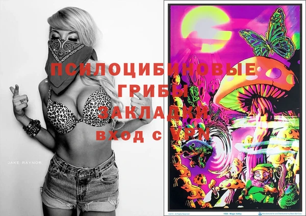 хмурый Гусь-Хрустальный
