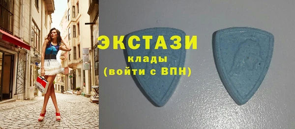 хмурый Гусь-Хрустальный