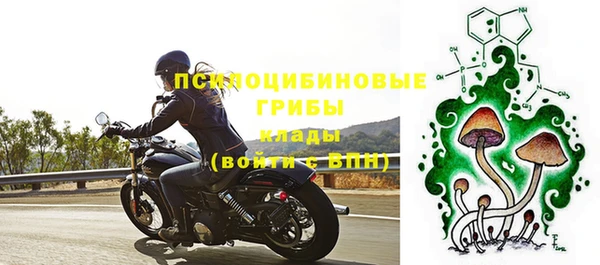 хмурый Гусь-Хрустальный