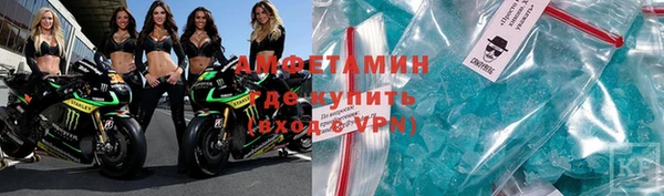 индика Гусиноозёрск