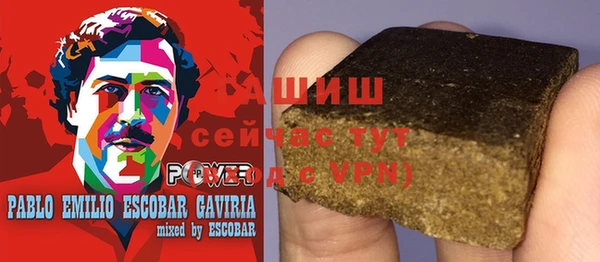 гидра Гусев