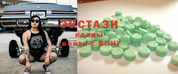 хмурый Гусь-Хрустальный